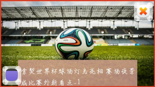 索契世界杯球场灯光亮相 赛场夜景成比赛外新看点_1